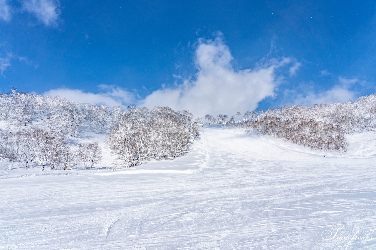 ルスツリゾート　2日間の吹雪の後の青空。たっぷり新雪が降り積もった樹氷林の中を滑る！